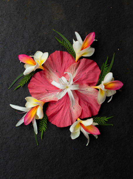 Shot of a faded red hibiscus centered around tropical petals and plant stems in patterns on a dark background. Taken in Kauai, Hawaii, during the day.