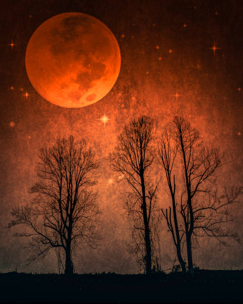 Full Moon, Silhouetted Trees, Vivid Orange Night, Starry Sky. Elements of this image are provided by NASA. Source: https://science.nasa.gov/resource/supermoon-2014/
