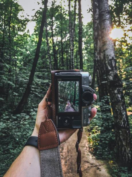 Camera in hands against blue sky and forest. High quality photo