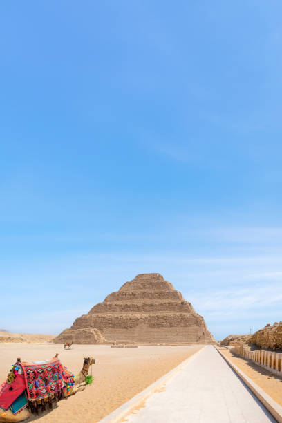 istock Camels at The Step Pyramid, Sakkara, Egypt 2200424210
