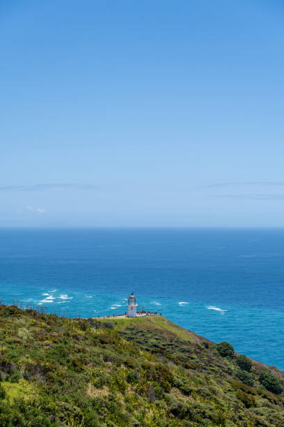 Wellington, the capital of New Zealand, is a vibrant city located at the southern tip of the North Island, known for its dramatic harbor setting and surrounding hills. Often referred to as the \