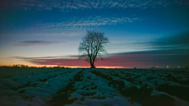 Frosty winter in Russia. Beautiful sunrise in Siberia. Cold winter photo.