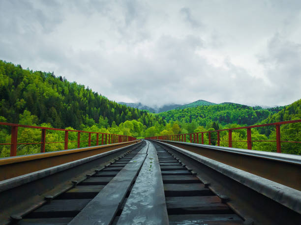 Old railway bridge piercing the spring forest through the mountains hills. Beautiful landscape with different tones of green trees and misty clouds on the horizon. Carpathian mounts, Yaremche, Ukraine