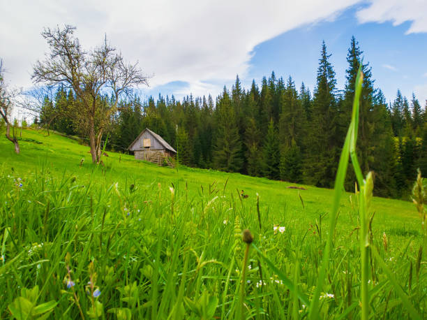 istock Wooden cottage in the mountains, sunny spring day 2200430144