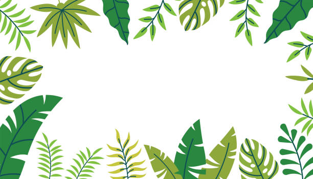 Tropical summer leaves and branches frame in flat style. Palm and Monstera leaf greeting card. Floral background.