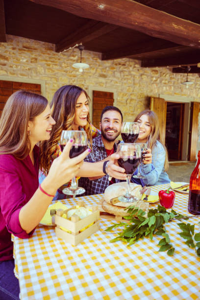 Friends toasting red wine at table with checkered tablecloth stock photo