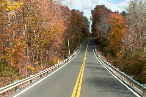 istock Road lined with trees leading to a distant bridge, creating a serene and picturesque scene. 2200432625