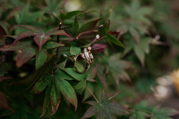 Wedding Rings Hanging on a Tree Branch