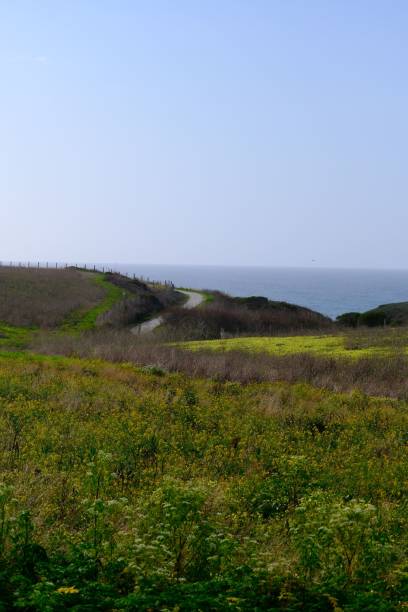 istock Scenic Coastal Landscape with Winding Path 2200441773