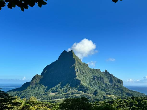 istock Belvedere Lookout in Moorea 2200445964