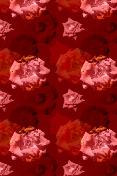 Floral romantic collage on a red background. Pattern with with rose