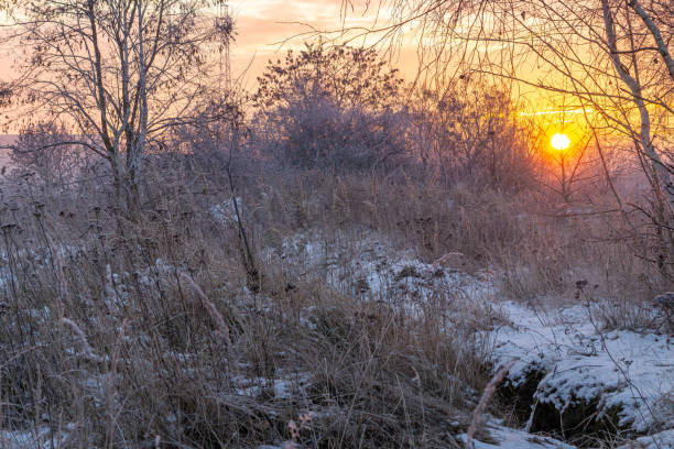 istock winter sunrise over a river flowing through a small forest in the suburbs. beautiful orange sun in the sky. lying snow. winter landscape. 2200447457
