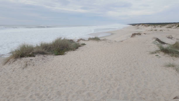 istock Expansive sandy dunes at Furadouro Beach, Portugal 2200447942