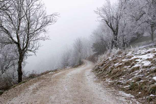 Photo was taken during hiking trip  at cold winter morning