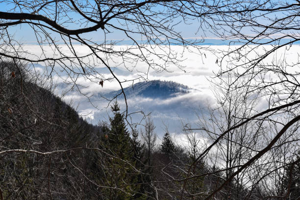 Photo was taken during hiking trip  at cold winter morning in Kamnik Savinja Alps
