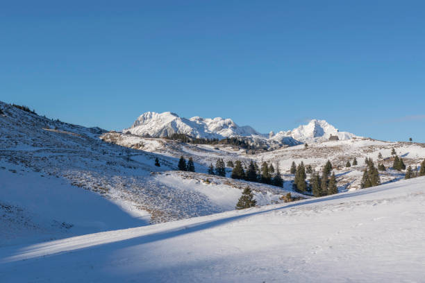 istock Pasture plateau Velika Planina at Kamnik Savinja Alps 2200452809
