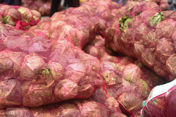 istock net bags full of pumpkin 2200462187