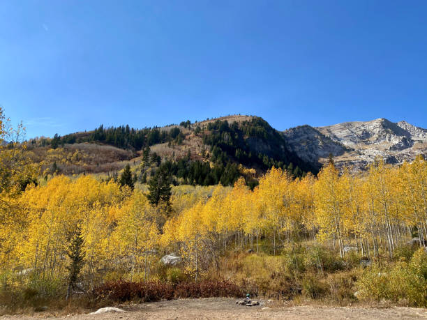 istock Autumn Views Of Changing Leaves 2200467726