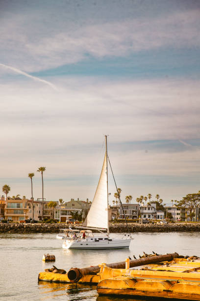 istock Sailboat in the harbor 2200468980