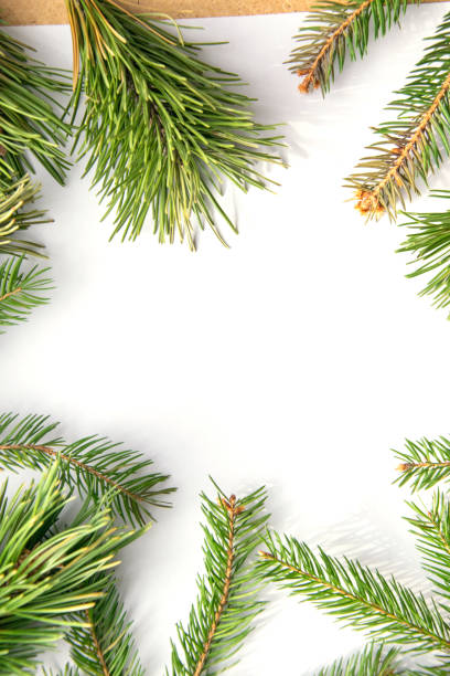 istock Fresh evergreen branches arranged around a blank white surface for festive decorations in a cozy indoor setting 2200470059