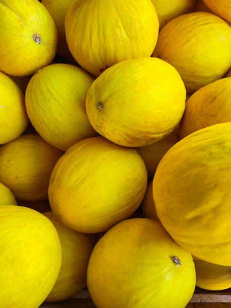 istock A set of ripe melons. 2200470954