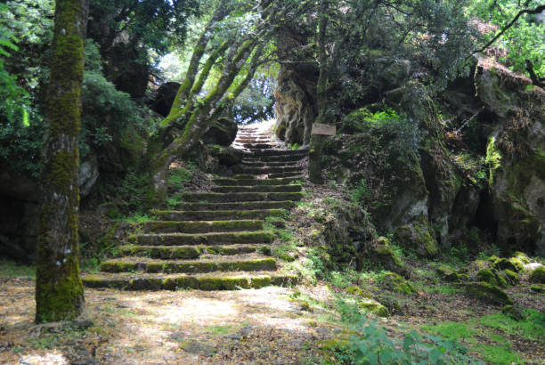 istock The forest of Monte Sant'Antonio 2200472592