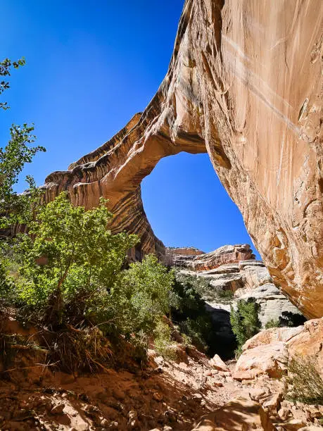 Photo of Grosvenor Arch (4)