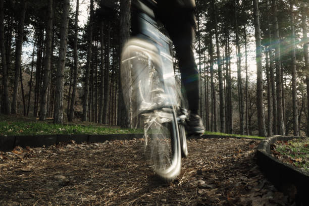 Young man riding a mountain bike in winter through a forest path. Dressed in winter clothing. Sunny winter day. Motion blur.
