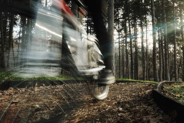 Young man riding a mountain bike in winter through a forest path. Dressed in winter clothing. Sunny winter day. Motion blur.
