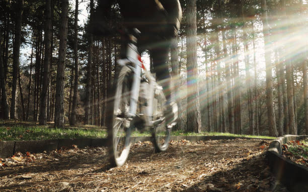 Young man riding a mountain bike in winter through a forest path. Dressed in winter clothing. Sunny winter day. Motion blur.