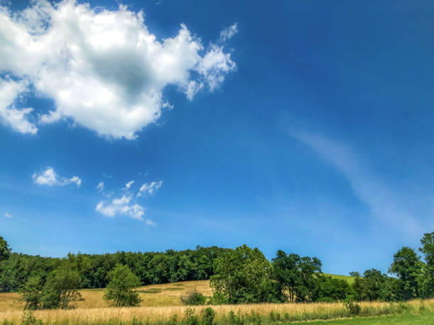 View of the green landscape near Oberhenneborn in the Sauerland.