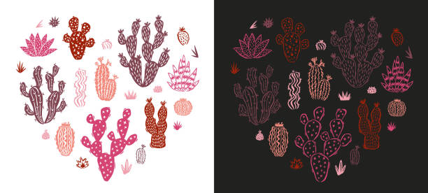 isolated vectors of cacti, succulents and desert elements