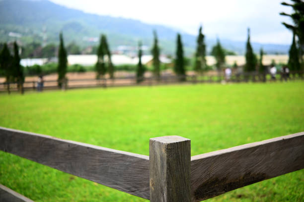 Brown wooden wall,with nature blurry background