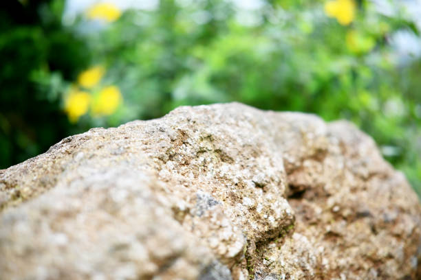 Natural stone in the nature, with bokeh background