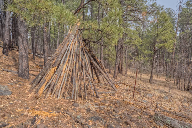 istock Teepee in the Coconino National Forest AZ 2200497698