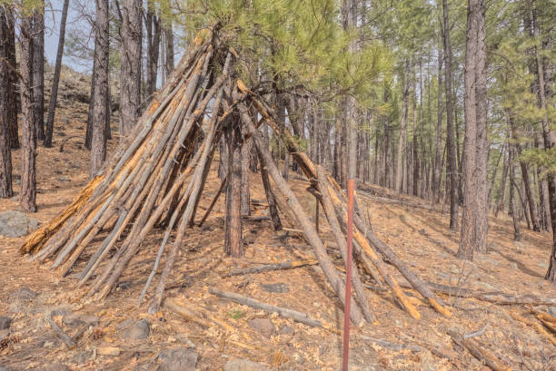 istock Teepee in the Coconino National Forest AZ 2200497701