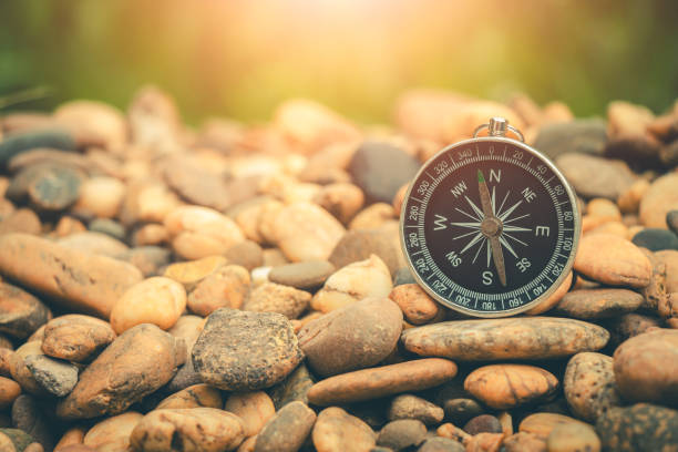 travel of tourists with compass. compass of tourists on forest. - zirkel stock-fotos und bilder