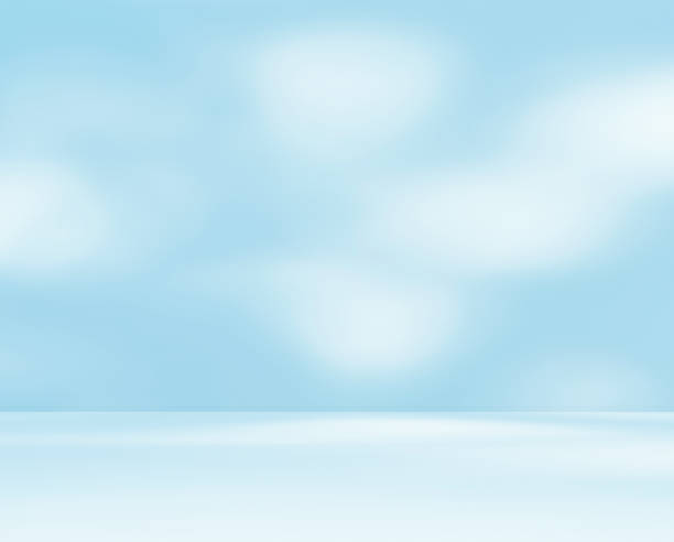 istock Empty blue room studio with shadow of leaves on concrete wall and floor for product presentation. 2200501828