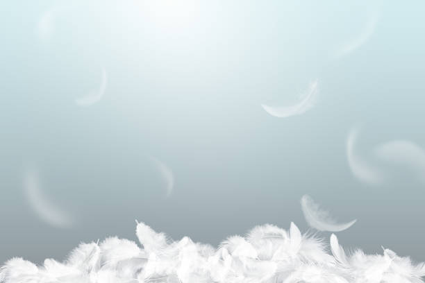 istock Many Soft White Feathers Falling in The Air. Fluffy Downy, Peace. Softness of Floating Feathers. Feather Abstract Background. 2200502048