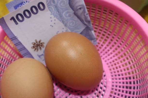 istock boiled eggs and cash, egg price illustration. 2200502847