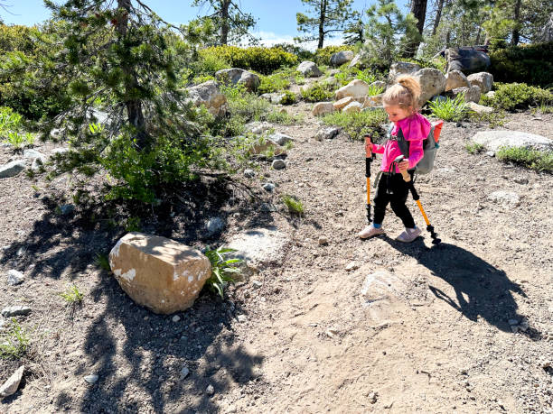 istock Toddler hiking with trekking poles 2200505648