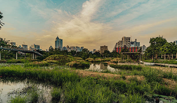 istock Benjakitti park in Bangkok, Thailand 2200508406