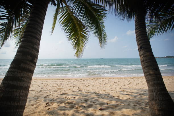 Tropical beach scene framed by palm tree fronds on both sides clear blue sky dotted by soft clouds