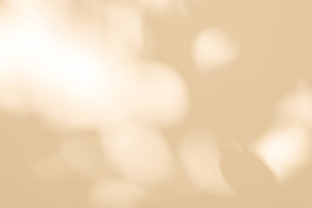 istock Studio style background wall decoration presentation uses white and beige tones. with shadows cast from a nearby window, concept creating a decorative 2200510061