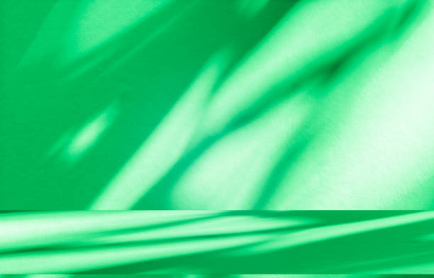 istock Studio style background wall decoration presentation uses white and green tones. with shadows cast from a nearby window, concept creating a decorative 2200510245