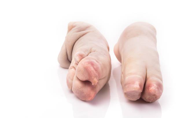 Raw pork trotters isolated on white background