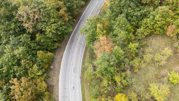 istock Winding road cutting through lush green forest in autumn 2200514590