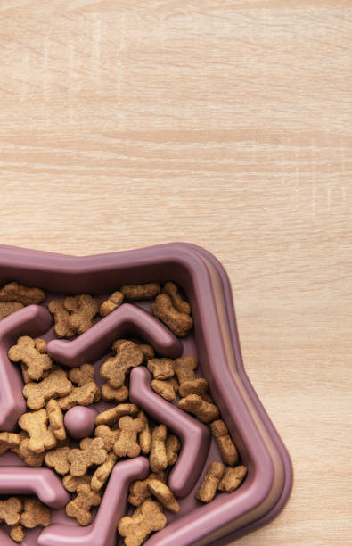 istock Slow feeder dog bowl preventing gulping and improving digestion 2200519221
