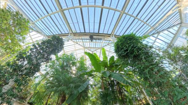 istock Tropical garden under glass roof 2200522581