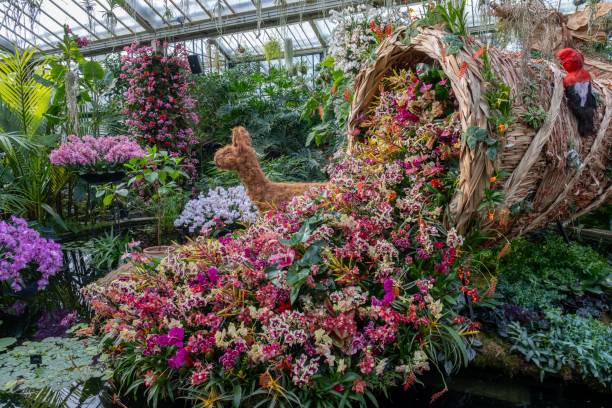 istock Vibrant indoor floral display with orchids 2200522589